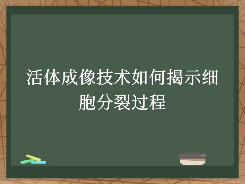 活体成像技术如何揭示细胞分裂过程
